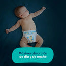 Pañales Deluxe Protection x3 Paquetes + 12 Packs de Toallitas Húmedas