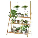 Madera Plegable Premium